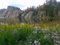 Sylvan Lake-2.jpg